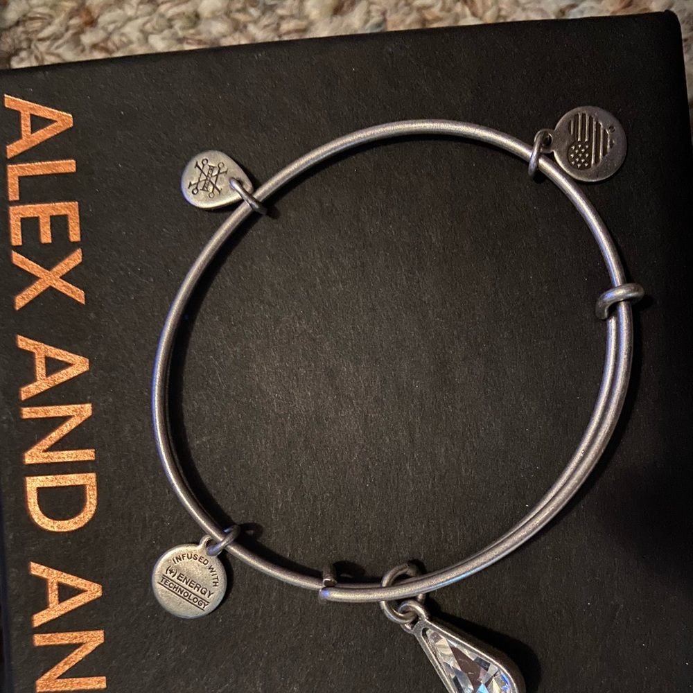 Alex and Ani charm Bracelet